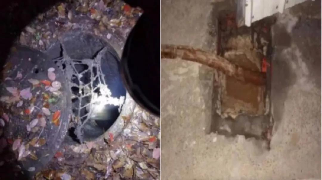 黑娱乐! 水污染“云溯源”技术助力解决污水处理厂进水异常问题 黑娱乐! 水污染“云溯源”技术助力解决污水处理厂进水异常问题