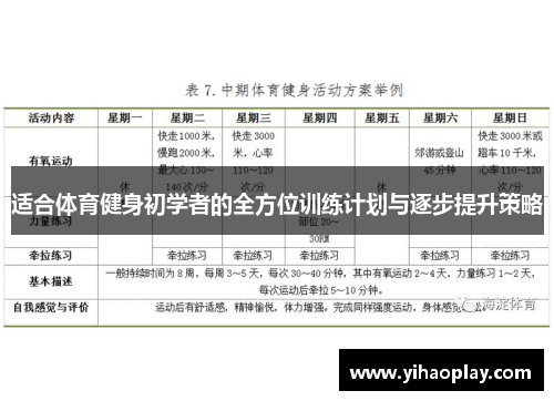 适合体育健身初学者的全方位训练计划与逐步提升策略